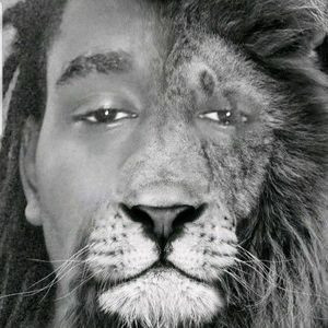 Meet your Posher, Petey